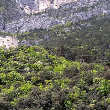 Casa Canarino-3